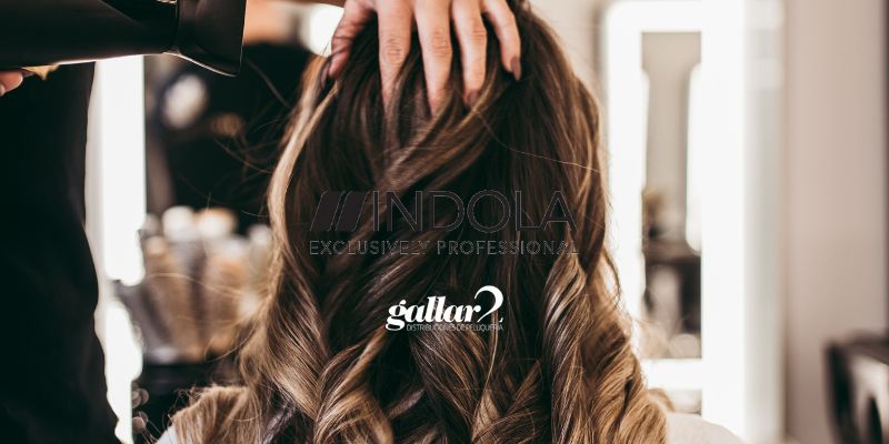 distribuidor de indola en sevilla, huelva y extremadura